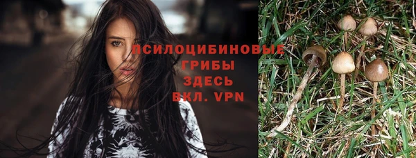 COCAINE Абаза