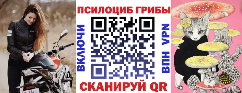 Галлюциногенные грибы мицелий  купить наркоту  Торжок 