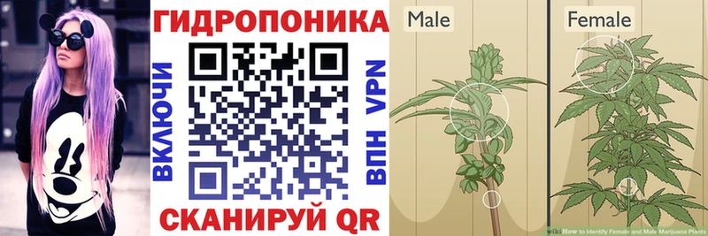 Марихуана MAZAR  Торжок 